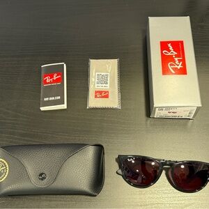 Ray-Ban Erika Black Polarized Sunglasses with Case